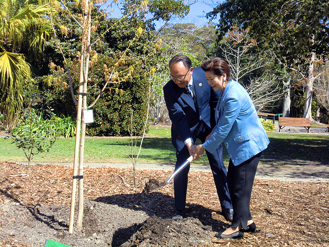 姉妹都市提携25周年記念式典 植樹風景
