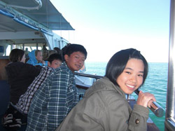 Whale Watching on shipboard.