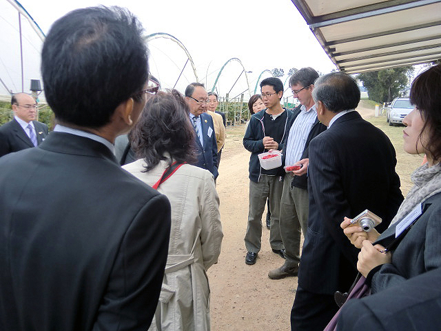 Inspection trip to Berry Exchange (berry farm)1